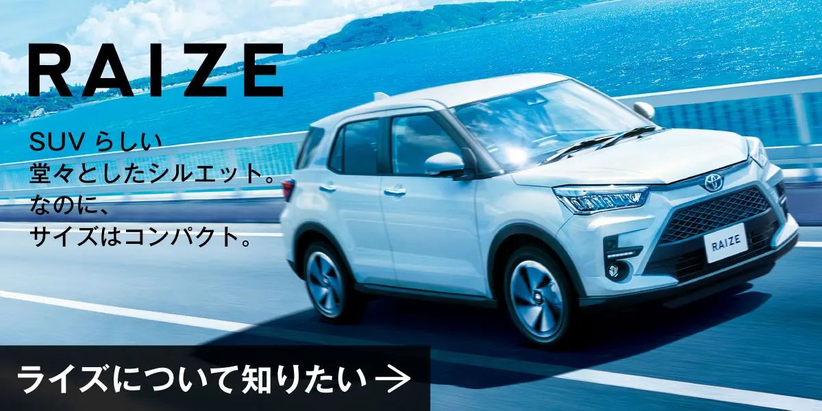 ライズについて知りたい