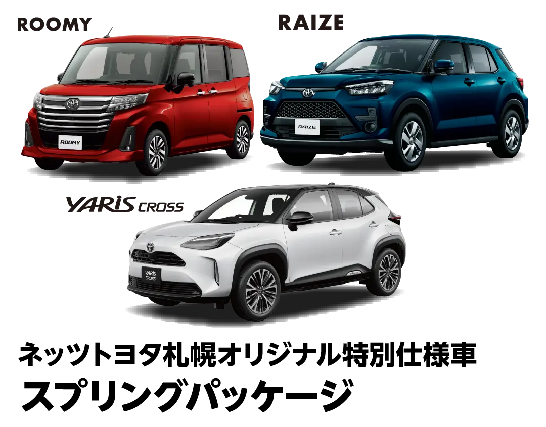 ネッツトヨタ札幌オリジナル特別仕様車 スプリングパッケージ