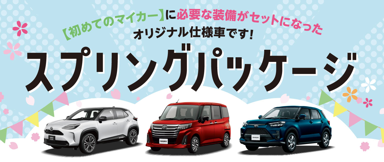 ネッツトヨタ札幌オリジナル特別仕様車 スプリングパッケージ