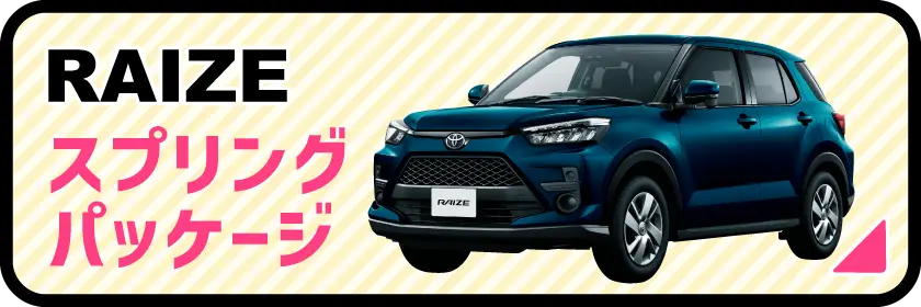 【ライズ】RAIZE スプリングパッケージ