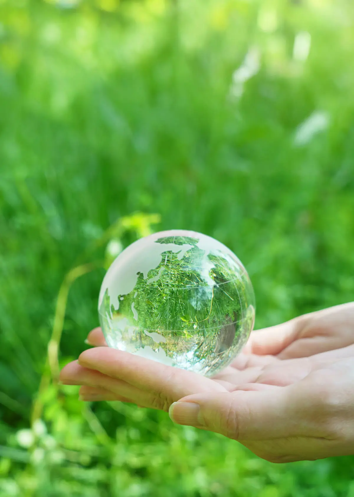 ネッツトヨタ札幌は、お客様とともに地域社会、さらには地球環境の持続可能な発展への貢献に取り組んでいます。