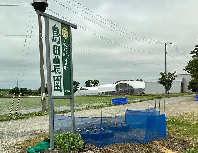 【ネッツトヨタ札幌 米米club】