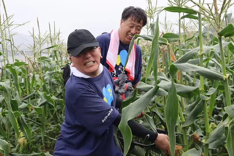 【とうきびランド収穫祭】
