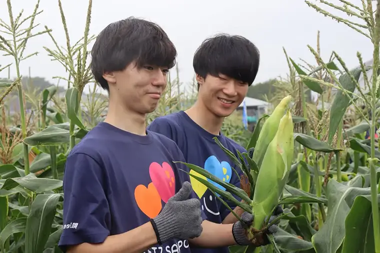 【とうきびランド収穫祭】