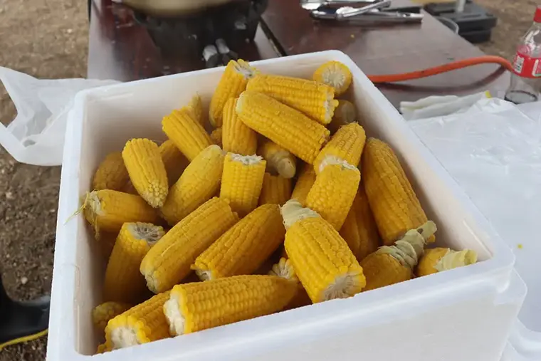 【とうきびランド収穫祭】