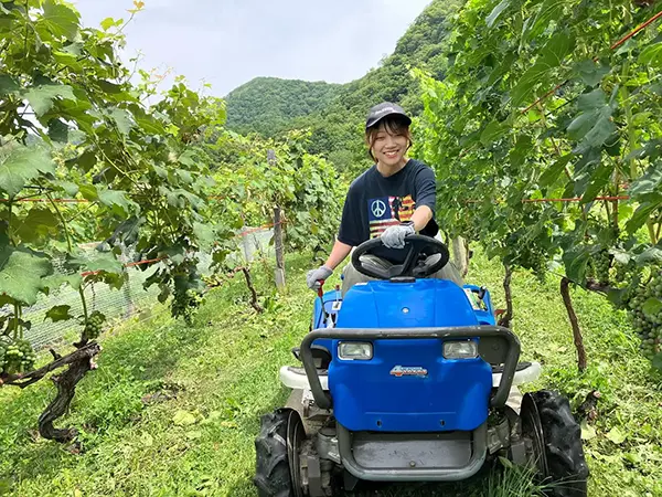 【八剣山ワイナリープロジェクト】