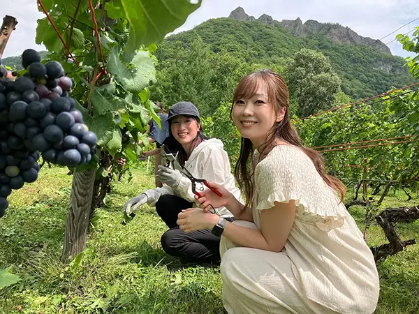 【八剣山ワイナリープロジェクト】