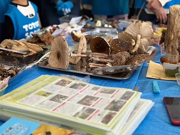 【TOYOTA SOCIAL FES 2025】