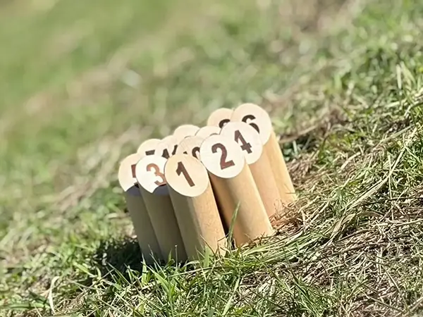 【TOYOTA SOCIAL FES 2025】