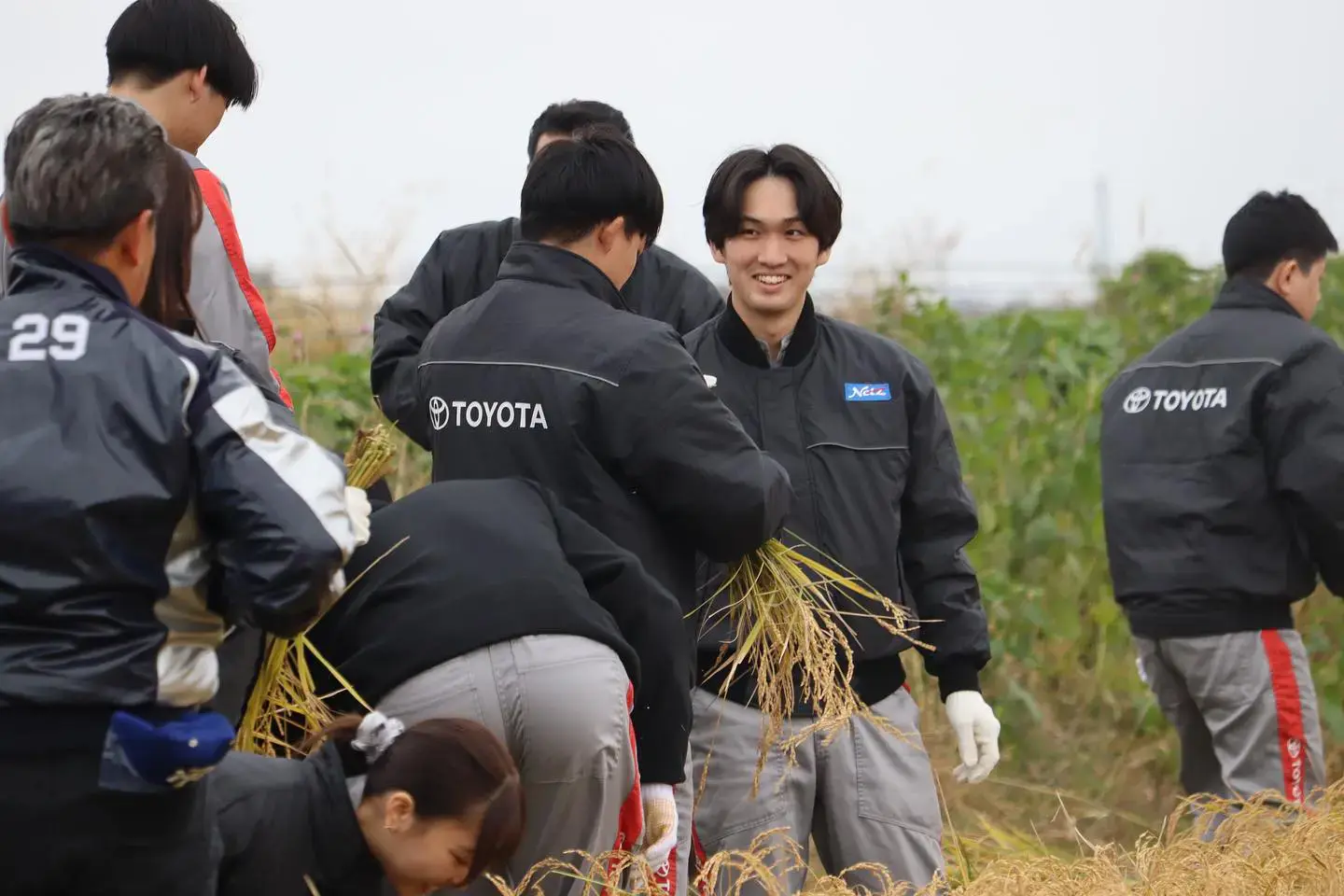 【島田農園「米米club」稲刈り】