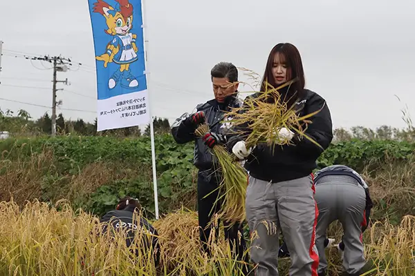 【島田農園「米米club」稲刈り】