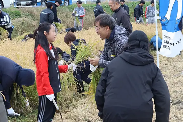 【島田農園「米米club」稲刈り】