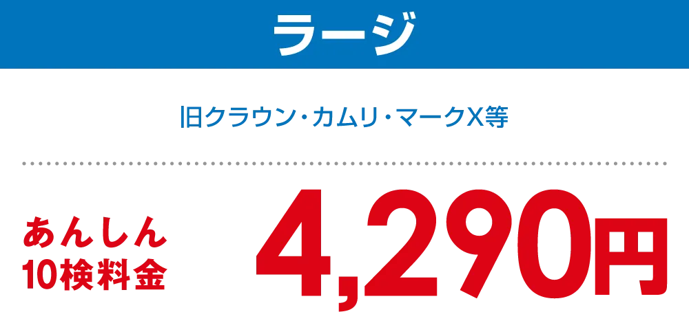 ラージ 4,290円