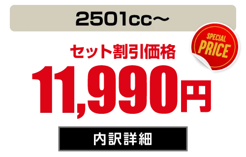 ラージ(2501cc〜) セット価格11,990円