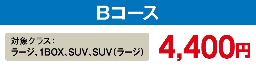 【Bコース】ラージ、1BOX、SUV、SUV(ラージ)【4,400円】